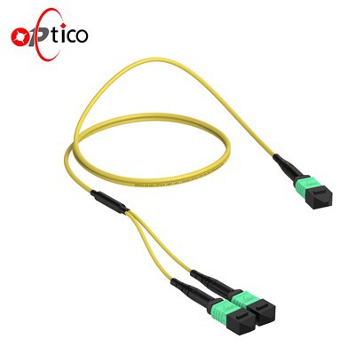 40G MPO MTP Patch snúru 24F til 2x12F OM2 OM3 OM4 OM5